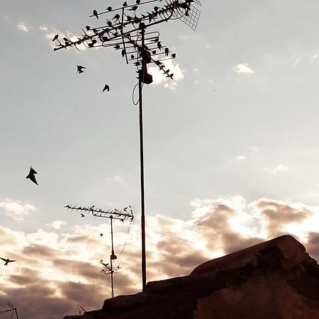 شقة Nona Marija روفينج المظهر الخارجي الصورة